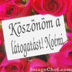 kosz3.jpg